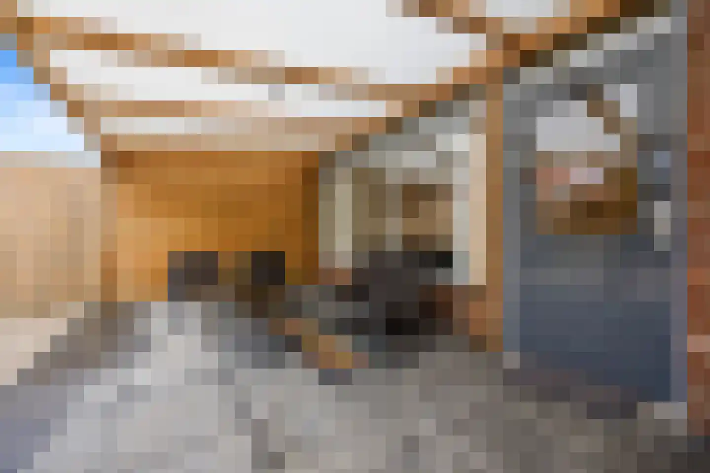 Huissensestraat 228 Arnhem thumbnail 29