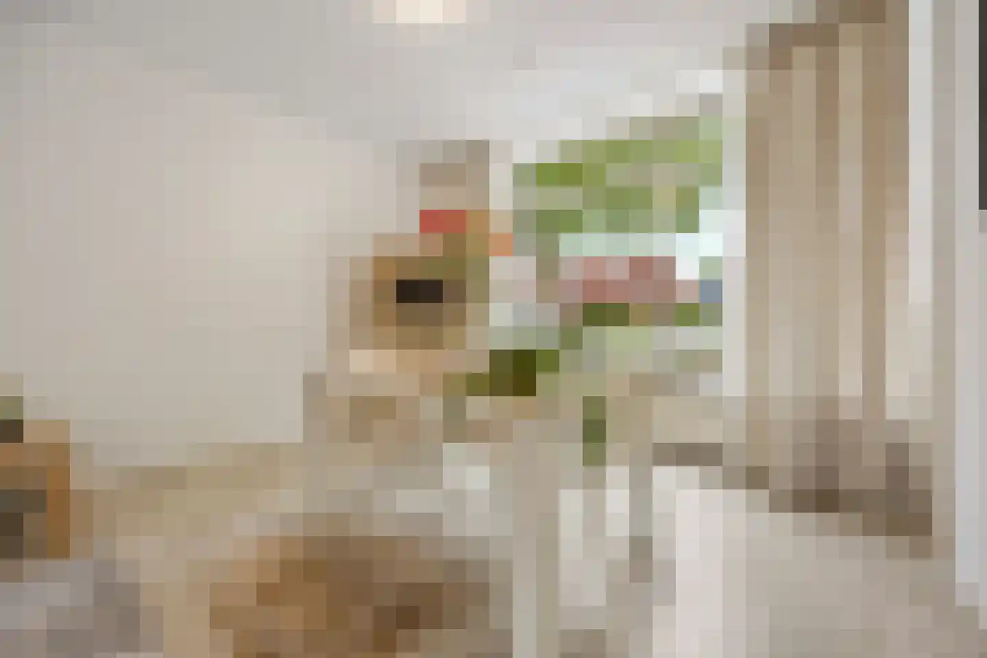 Huissensestraat 228 Arnhem thumbnail 9