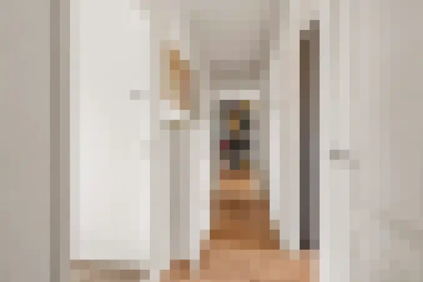 Huissensestraat 42 3 Arnhem thumbnail 9