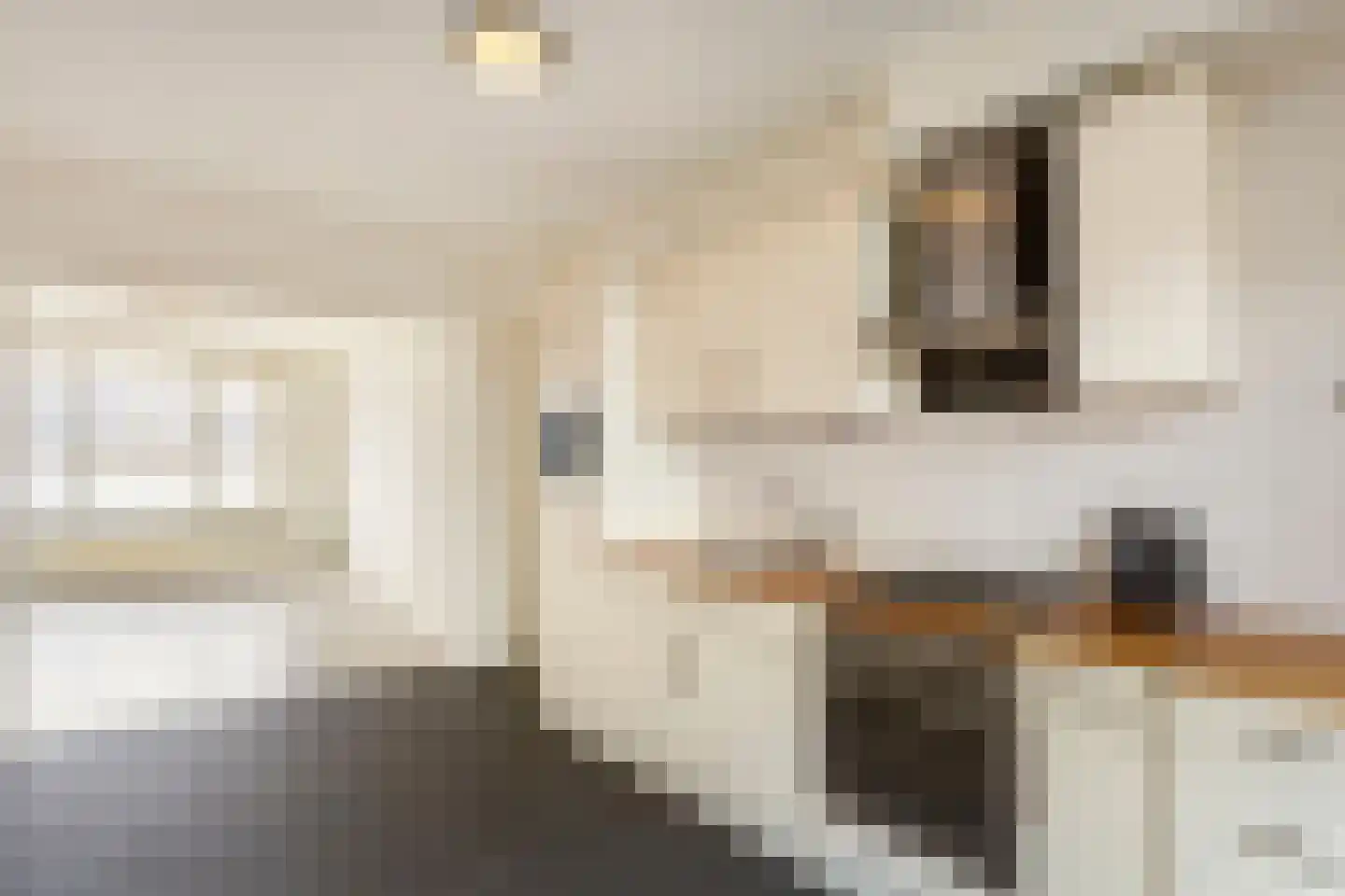 Huissensestraat 52 2 Arnhem thumbnail 11