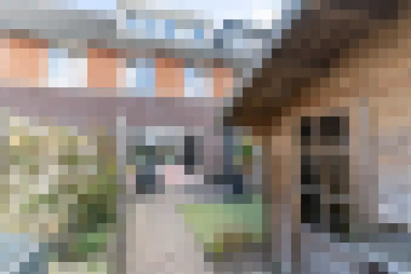 Huisstede 13 Oldebroek thumbnail 28