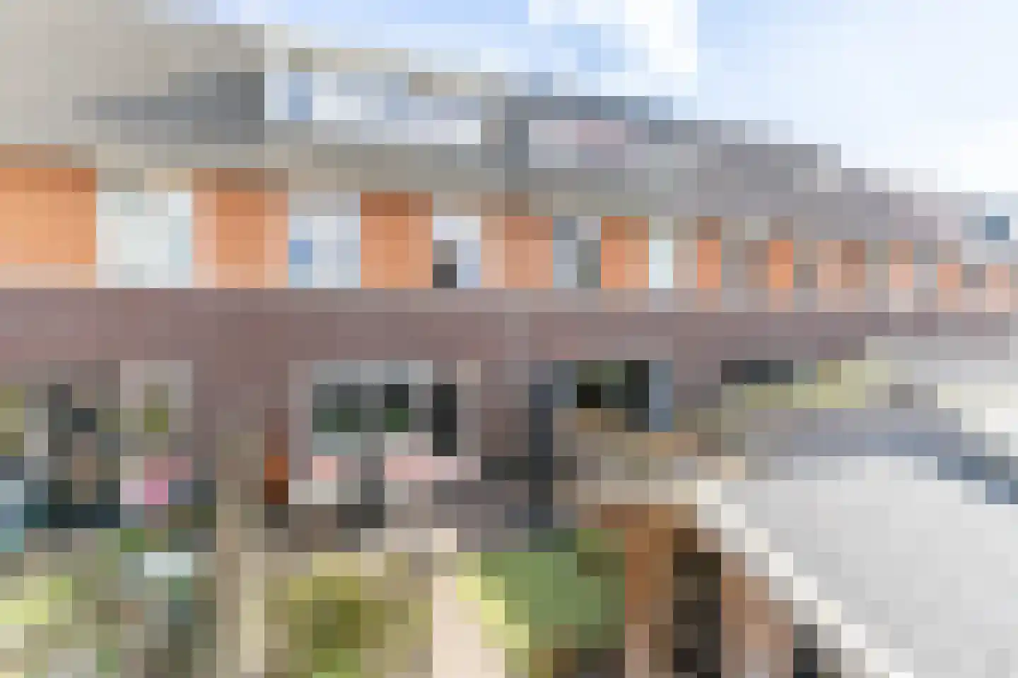 Huisstede 13 Oldebroek thumbnail 30