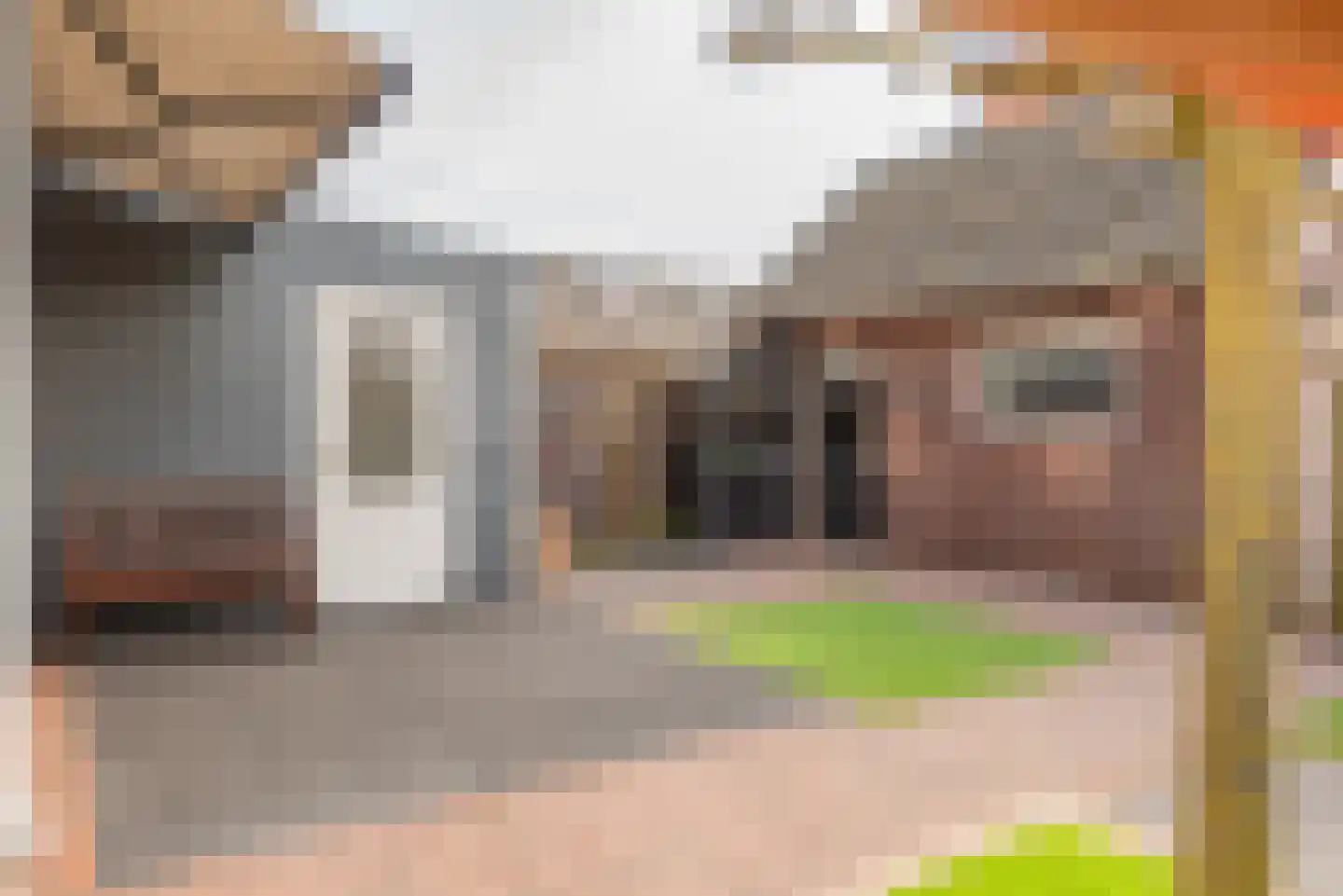 Huisstede 2 Oldebroek thumbnail 47