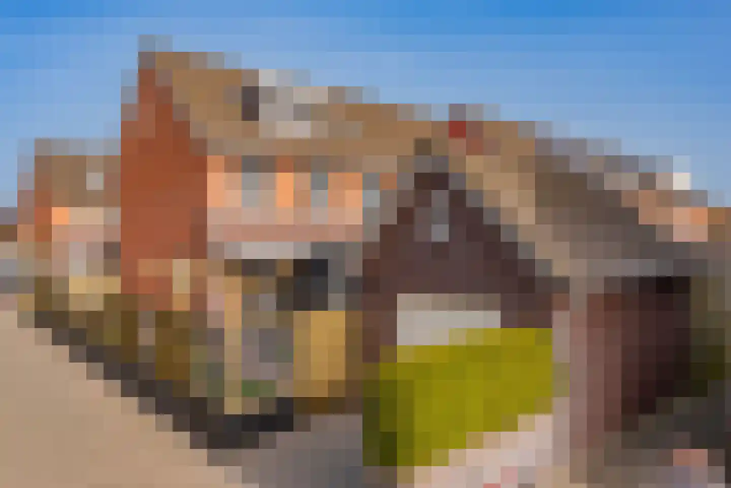 Huisstede 2 Oldebroek thumbnail 60