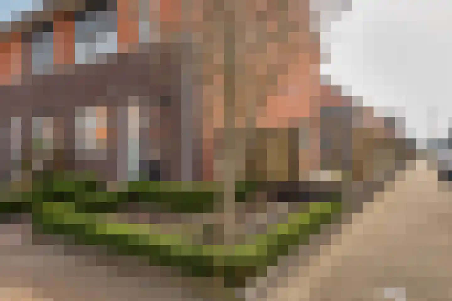 Huisstede 2 Oldebroek thumbnail 61