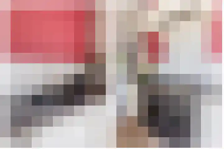 Huisstee 1 Hierden thumbnail 12