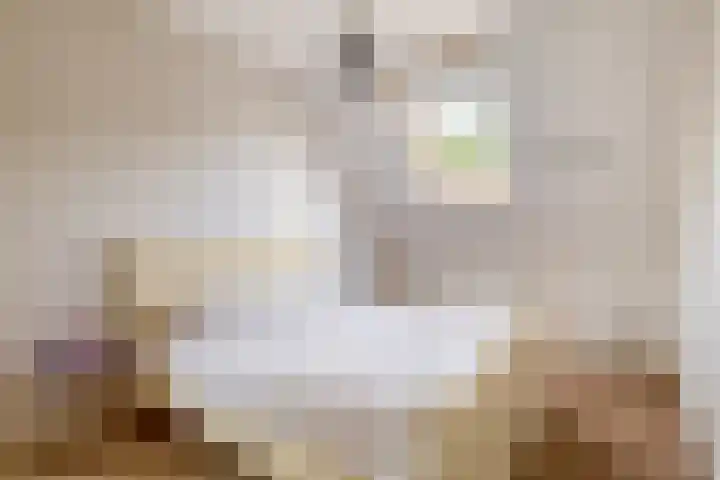 Huisstee 1 Hierden thumbnail 18
