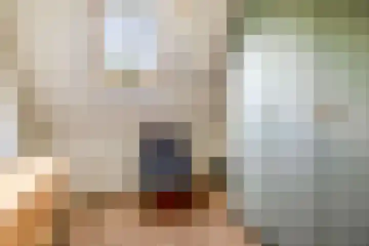 Huisstee 1 Hierden thumbnail 20