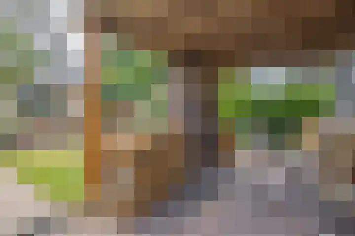 Huisstee 1 Hierden thumbnail 25