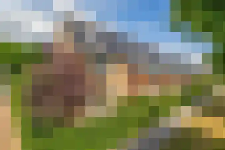 Huisstee 1 Hierden thumbnail 33