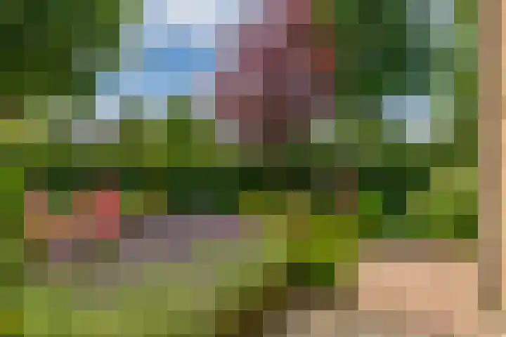 Huisstee 1 Hierden thumbnail 5