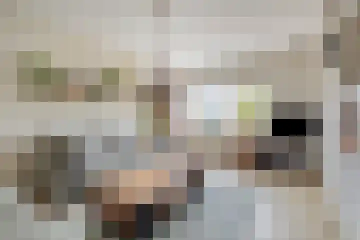 Huissteegde 19 Appelscha thumbnail 10