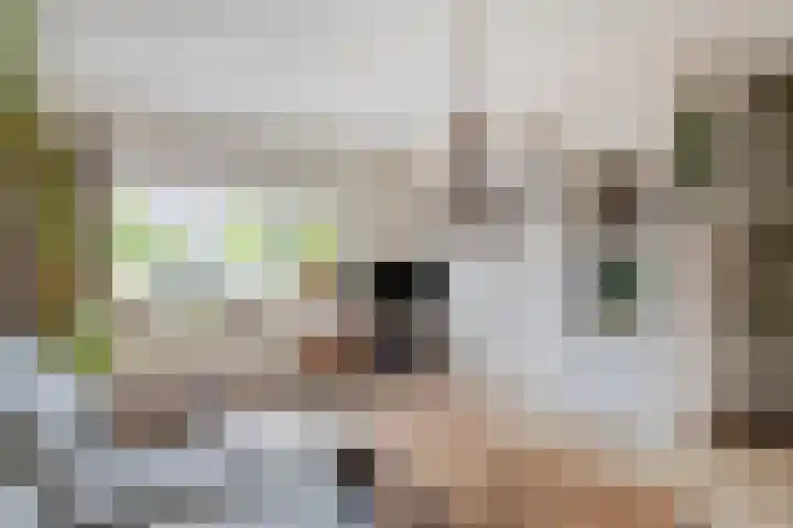 Huissteegde 19 Appelscha thumbnail 11