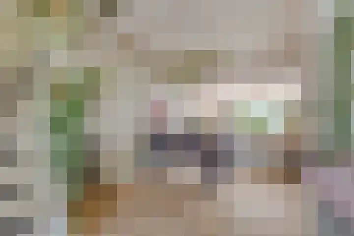 Huissteegde 19 Appelscha thumbnail 12