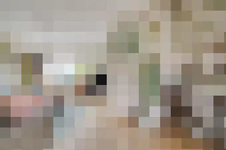 Huissteegde 19 Appelscha thumbnail 13