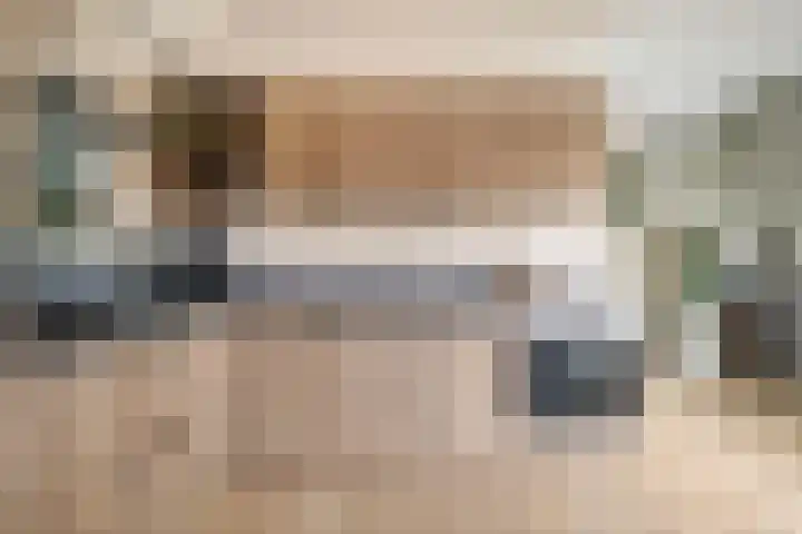Huissteegde 19 Appelscha thumbnail 15
