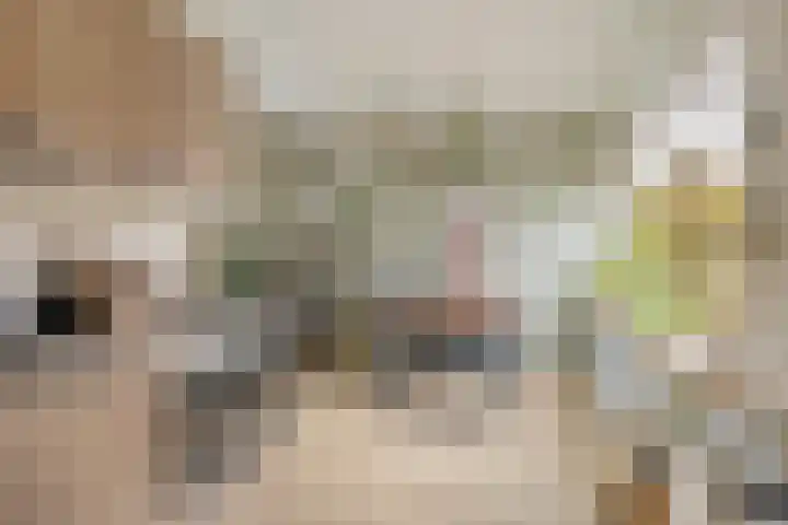 Huissteegde 19 Appelscha thumbnail 16