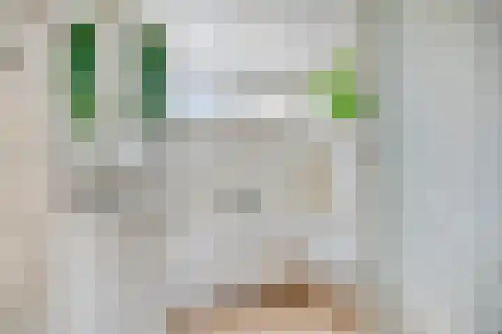 Huissteegde 19 Appelscha thumbnail 21