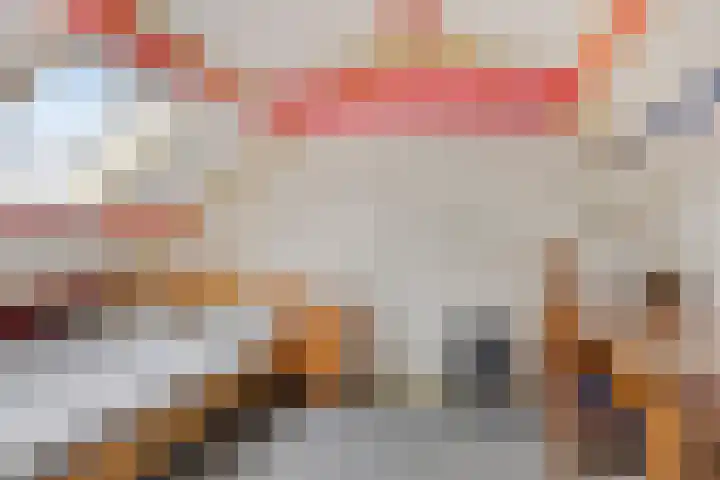 Huissteegde 19 Appelscha thumbnail 27