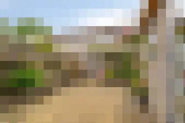 Huissteegde 19 Appelscha thumbnail 30