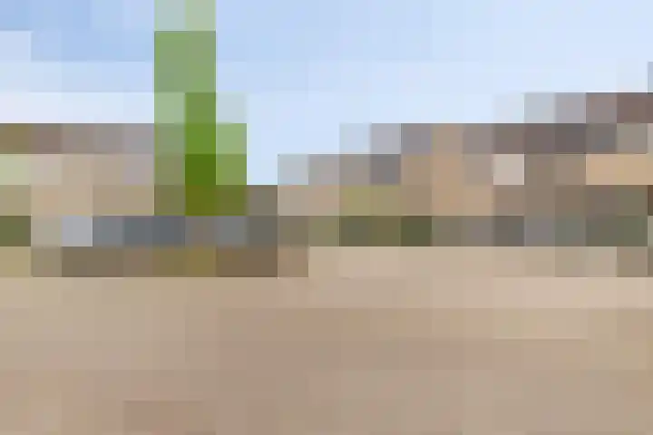 Huissteegde 19 Appelscha thumbnail 32