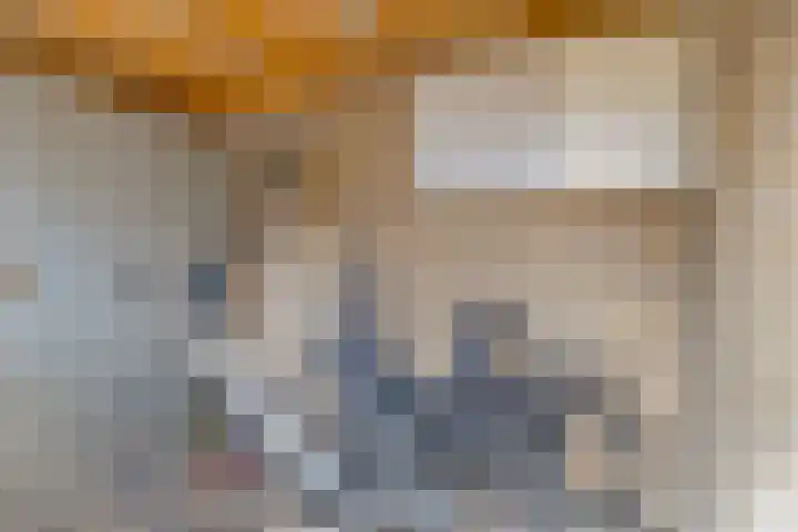 Huissteegde 19 Appelscha thumbnail 33