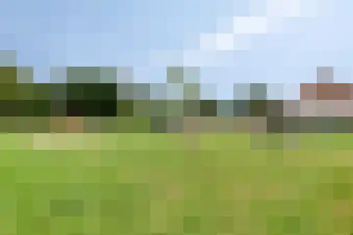 Huissteegde 19 Appelscha thumbnail 34