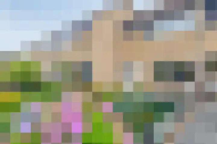 Huissteegde 19 Appelscha thumbnail 4