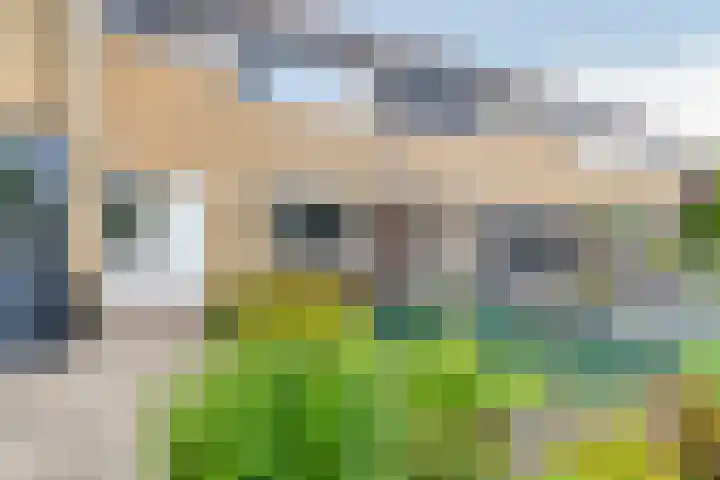 Huissteegde 19 Appelscha thumbnail 5