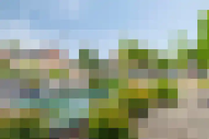 Huissteegde 19 Appelscha thumbnail 6