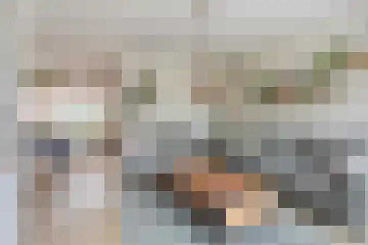 Huissteegde 19 Appelscha thumbnail 8