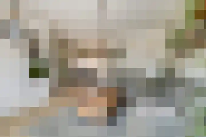 Huissteegde 19 Appelscha thumbnail 9