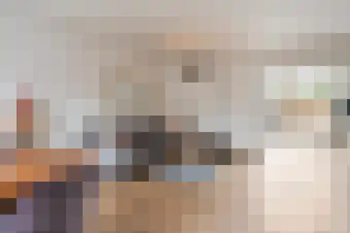 Huissteegde 21 Appelscha thumbnail 12