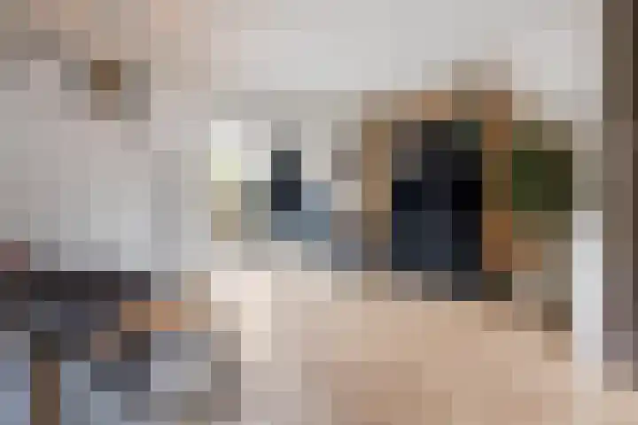 Huissteegde 21 Appelscha thumbnail 15