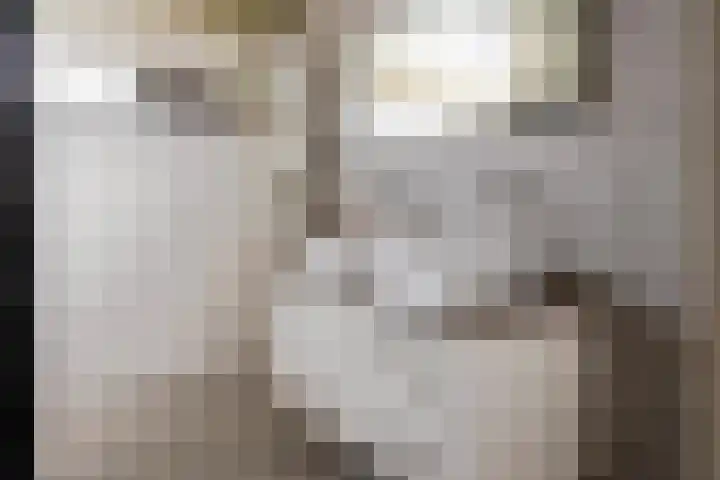 Huissteegde 21 Appelscha thumbnail 23