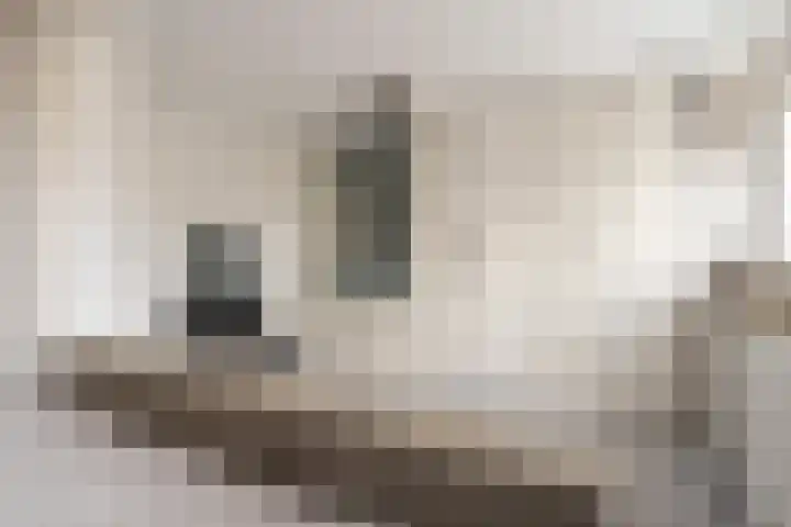 Huissteegde 21 Appelscha thumbnail 27