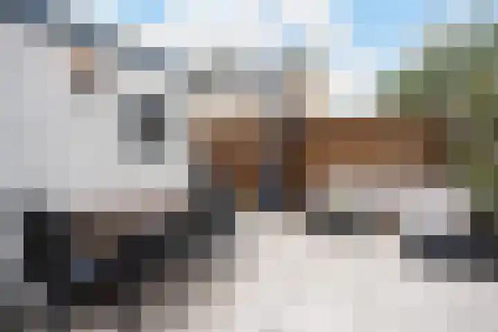 Huissteegde 21 Appelscha thumbnail 34