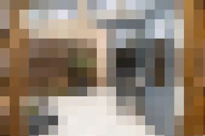 Huissteegde 21 Appelscha thumbnail 37