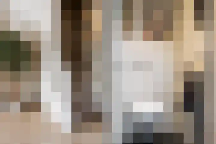Huissteegde 21 Appelscha thumbnail 8
