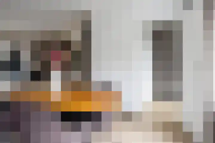 Huissteegde 21 Appelscha thumbnail 9
