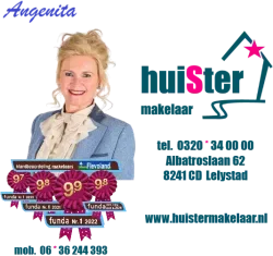 Logo huiSter makelaar