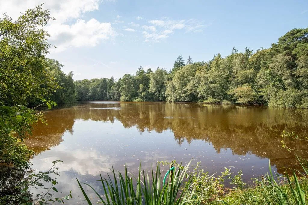 Huisterheide 1 Sint Nicolaasga thumbnail 62