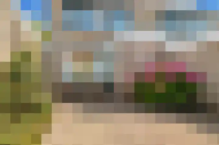 Huisweid 14 Egmond-Binnen thumbnail 39
