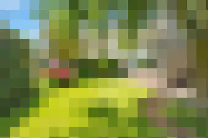 Huisweid 14 Egmond-Binnen thumbnail 40