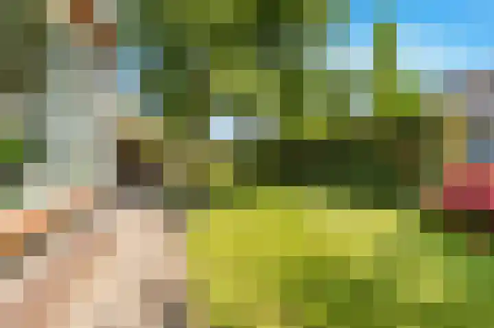 Huisweid 14 Egmond-Binnen thumbnail 41