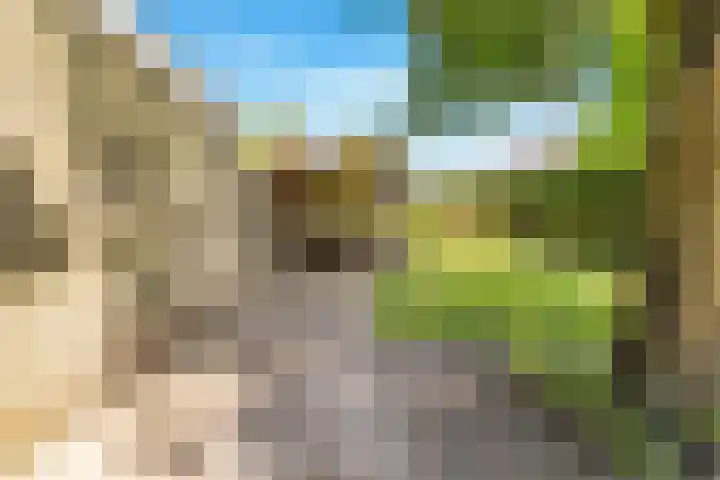 Huisweid 14 Egmond-Binnen thumbnail 42