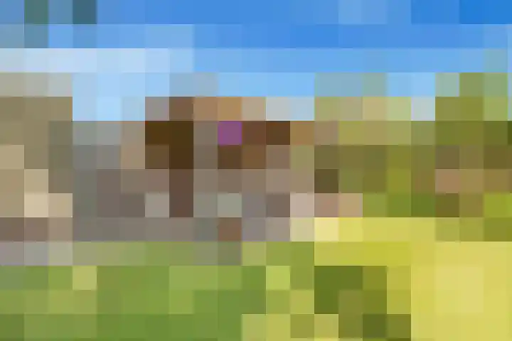 Huisweid 14 Egmond-Binnen thumbnail 43