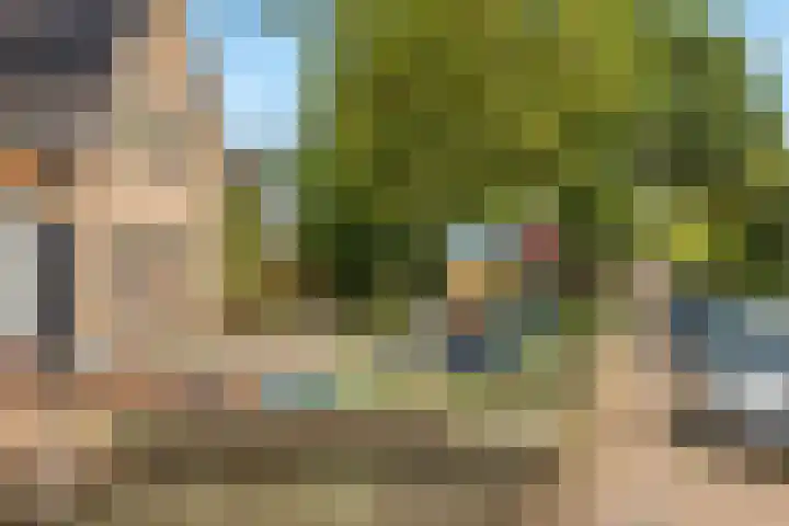 Huisweid 14 Egmond-Binnen thumbnail 49