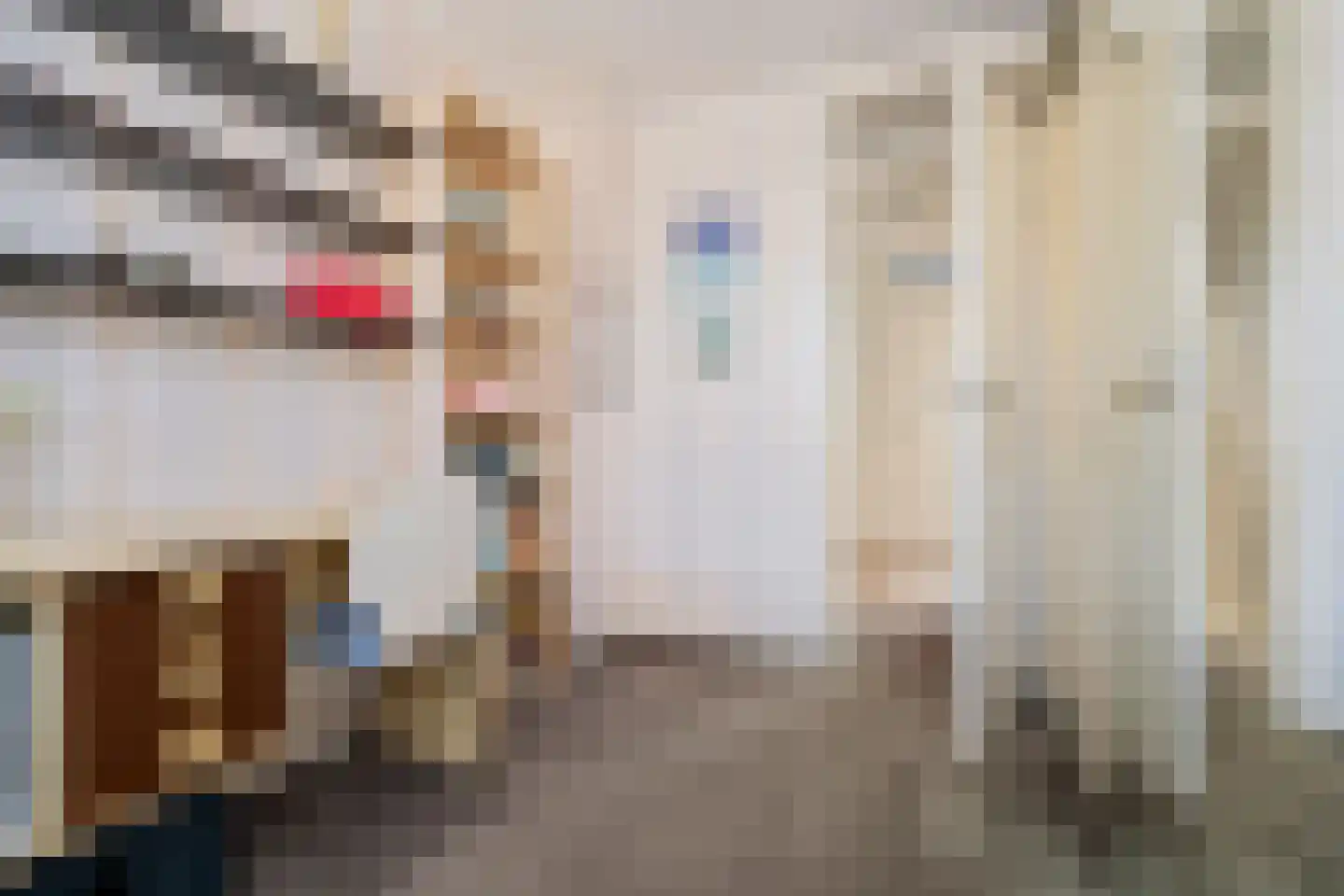 Huisweid 5 Egmond-Binnen thumbnail 14