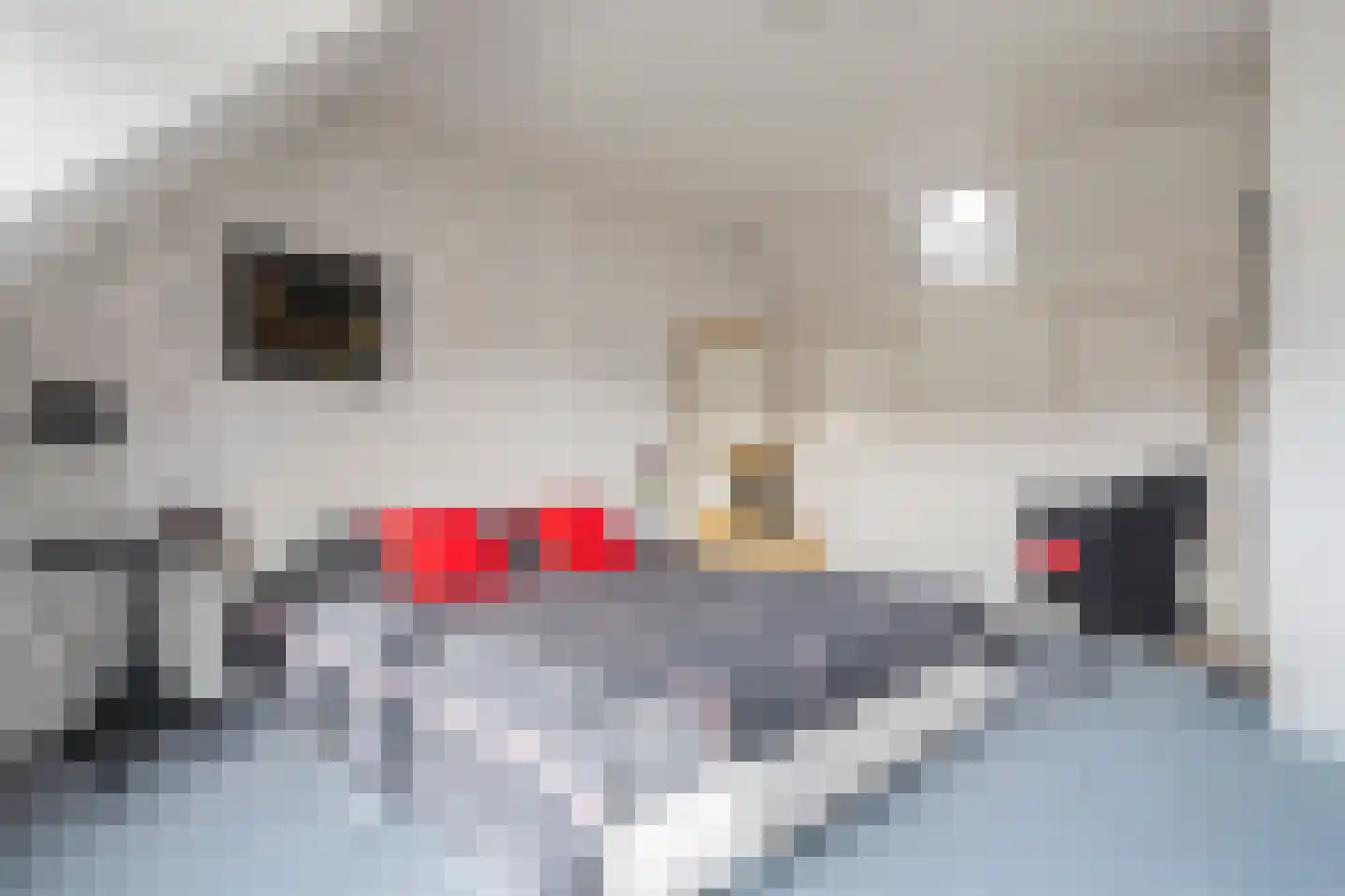 Huisweid 5 Egmond-Binnen thumbnail 24